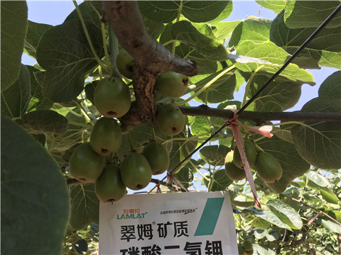 磷酸二氫鉀，拉姆拉