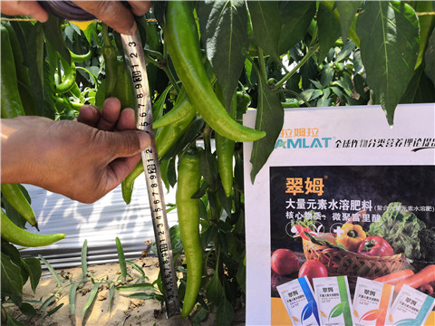復(fù)合肥料，拉姆拉