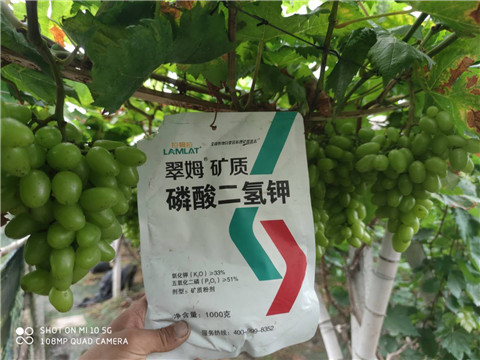 磷酸二氫鉀，拉姆拉