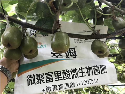 微生物菌劑，翠姆，拉姆拉