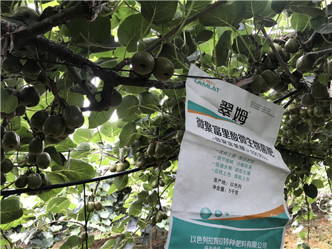 微生物菌劑，翠姆，拉姆拉