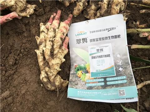 微生物菌劑，翠姆，拉姆拉