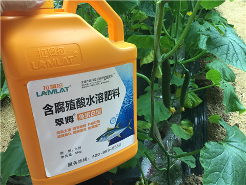 生根劑，魚蛋白水溶肥，拉姆拉