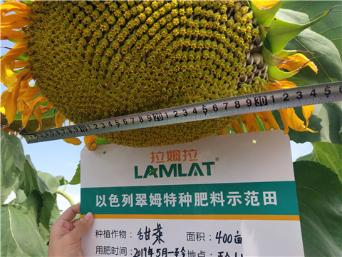 水溶肥，微生物菌劑，拉姆拉