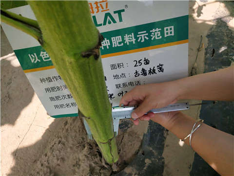水溶肥，微生物菌劑，拉姆拉