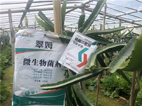 磷酸二氫鉀，翠姆，拉姆拉