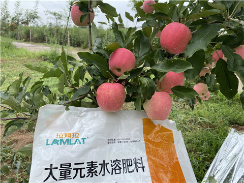 水溶肥，翠姆，拉姆拉