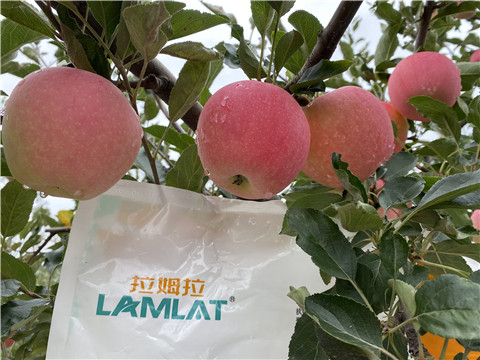水溶肥，翠姆，拉姆拉
