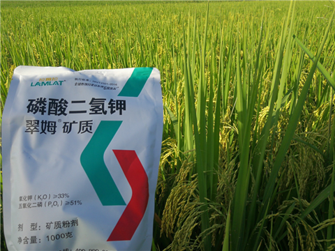 葉面肥，水稻灌漿肥，拉姆拉