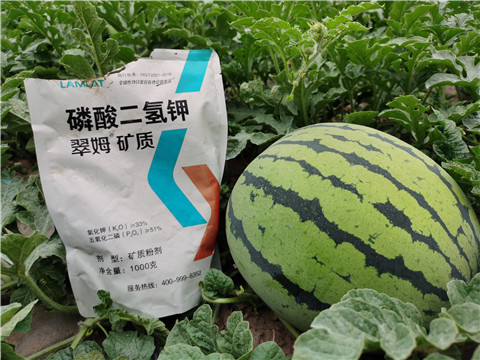 進口水溶肥，翠姆，拉姆拉