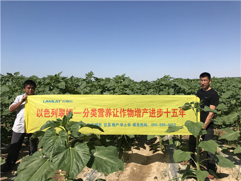 進(jìn)口水溶肥，拉姆拉