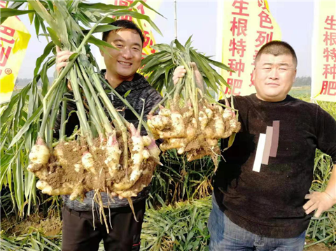 水溶肥，翠姆，拉姆拉