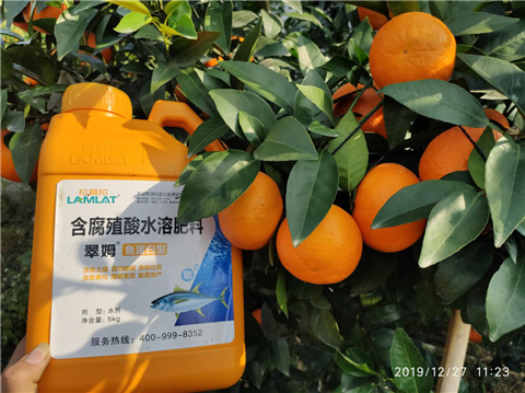 水溶肥，翠姆，拉姆拉