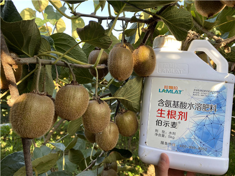 水溶肥，拉姆拉