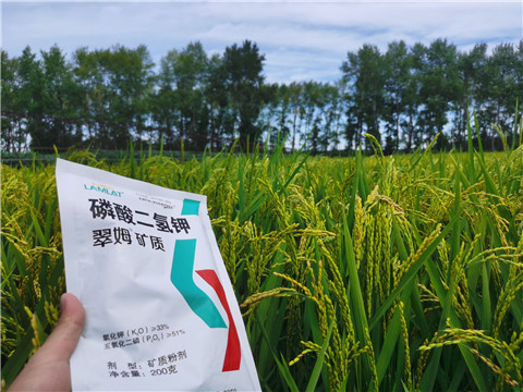 磷酸二氫鉀，拉姆拉，翠姆