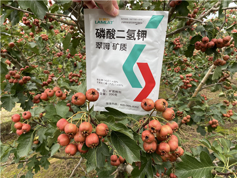 磷酸二氫鉀，拉姆拉，翠姆