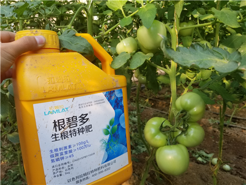 葉面肥，磷酸二氫鉀，微生物菌劑，翠姆，拉姆拉