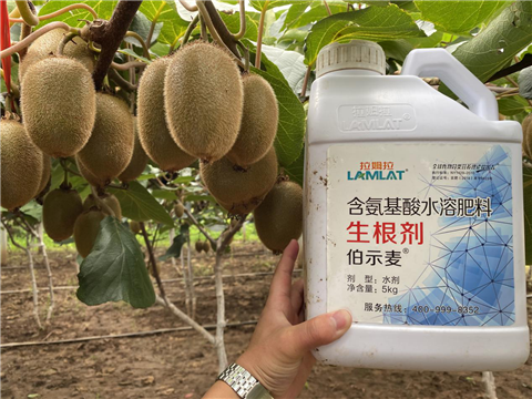 水溶肥，生根劑，微生物菌劑，伯示麥，拉姆拉
