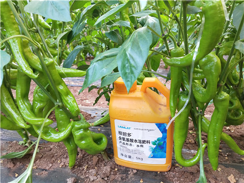 水溶肥，拉姆拉