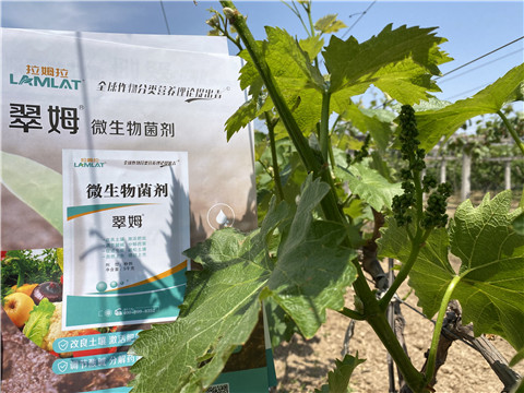 微生物菌劑，拉姆拉，翠姆