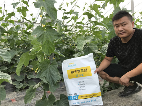水溶肥，拉姆拉