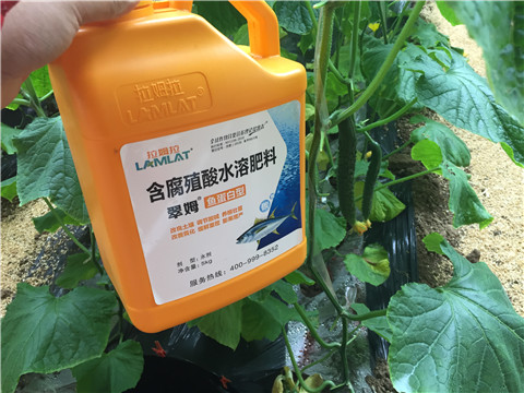 滴灌肥，拉姆拉，翠姆