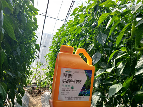滴灌肥，拉姆拉，翠姆