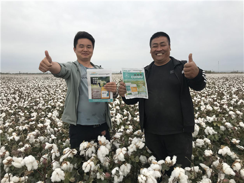 棉花，水溶肥，拉姆拉，翠姆