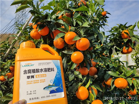 水溶肥，拉姆拉，翠姆