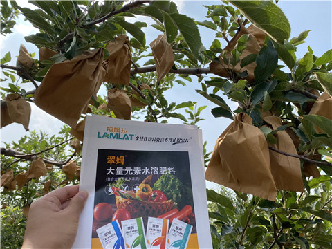 大量元素水溶肥，拉姆拉，翠姆