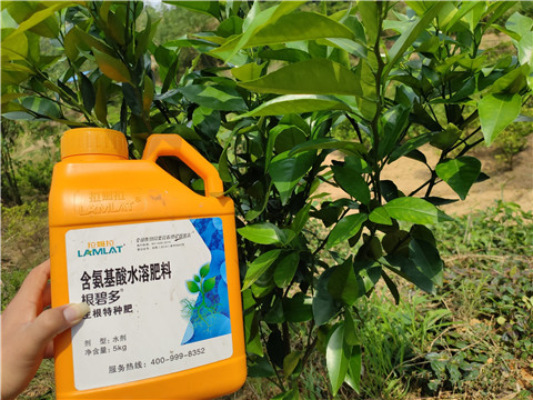 水溶肥，拉姆拉，翠姆