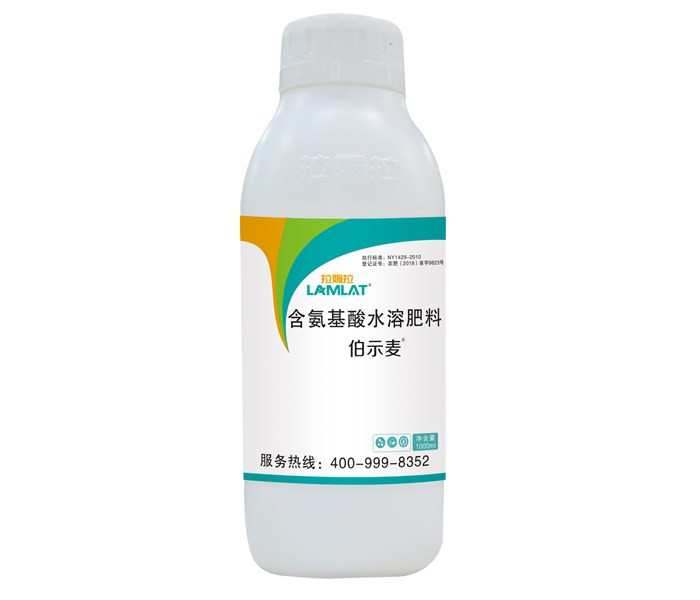 葉面肥，拉姆拉，伯示麥