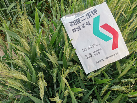 水溶肥，拉姆拉，翠姆