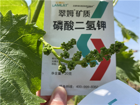磷酸二氫鉀，拉姆拉，翠姆