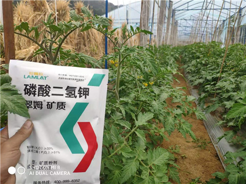 磷酸二氫鉀，拉姆拉，翠姆
