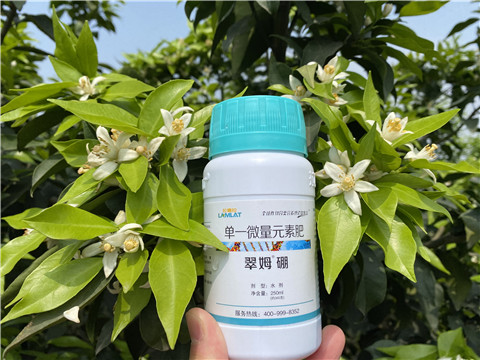 葉面肥，拉姆拉，翠姆