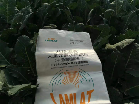 大量元素水溶肥，拉姆拉，翠姆
