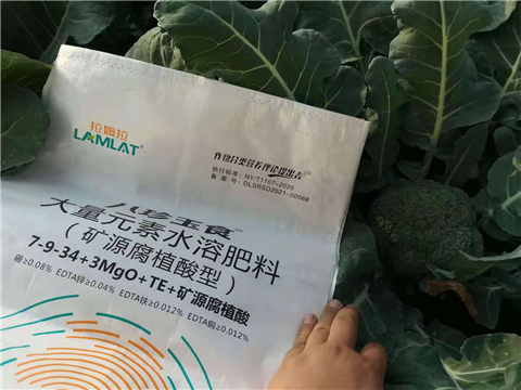 大量元素水溶肥，拉姆拉，翠姆