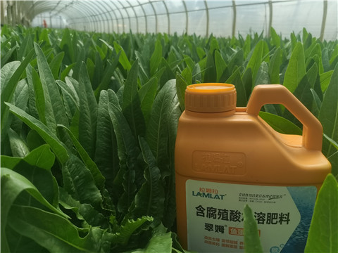 水溶肥，翠姆，拉姆拉