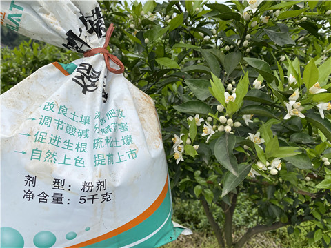 水溶肥，翠姆，拉姆拉