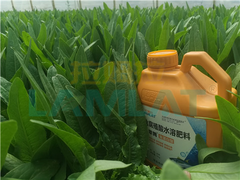 水溶肥，翠姆，拉姆拉