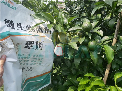 微生物菌劑，翠姆，拉姆拉