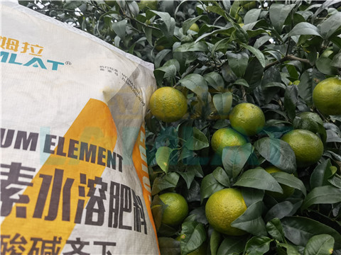 水溶肥，拉姆拉，翠姆