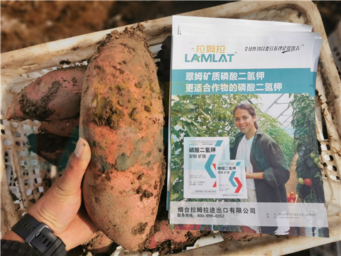 水溶肥，拉姆拉，翠姆